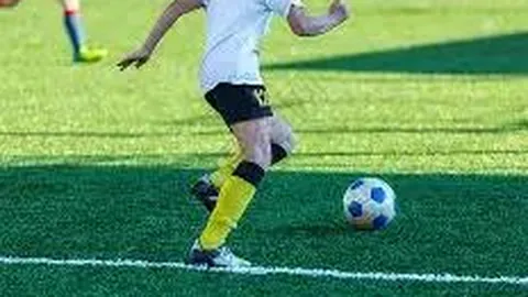 PM体育官方网站 产品 085149 6fr