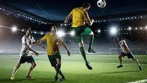 PM体育官方网站 产品 085144 hsn