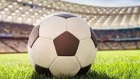 PM体育官方网站 产品 085435 msf