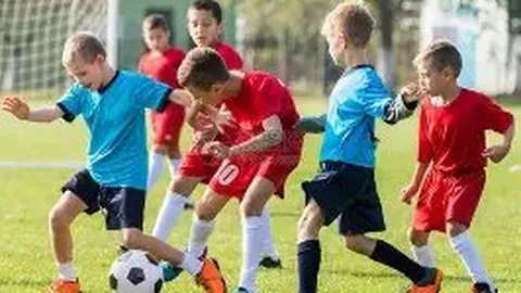 PM体育官方网站 产品 092324 72w