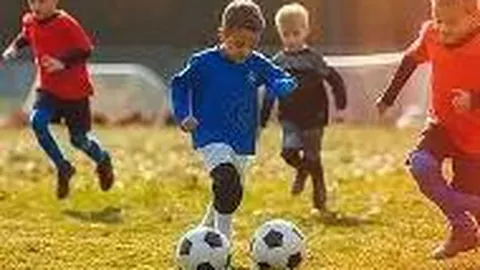 PM体育官方网站 产品 084627 238