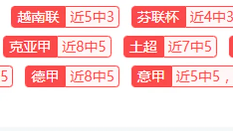解放者杯普拉滕斯对科林蒂安，专家解读期号对决态势