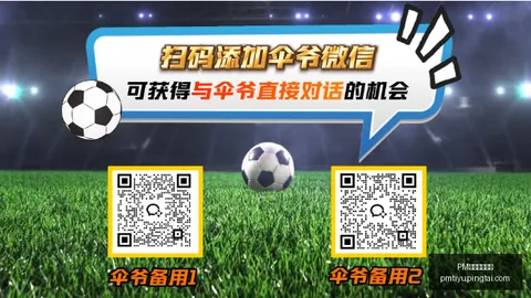 中国男篮易碎时刻：破局重生指南
